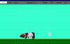 Cavy Sim