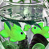 Chatty aquarium fishes puzzle