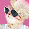 Chic Kitty