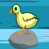 Chicken Act