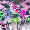 Christmas birds slide puzzle
