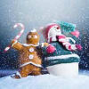 Christmas Pictures