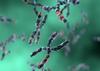 Chromosomes