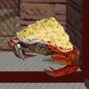 Attack of Spaghetti Crab