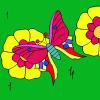 Colorful Butterfly Coloring