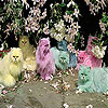 Colorful cats slide puzzle