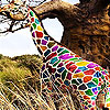 Colorful  hungry giraffe slide puzzle