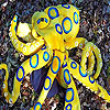 Colorful octopus slide puzzle