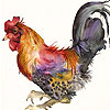Colorful rooster puzzle