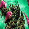 Colorful sea fishes puzzle