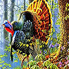 Colorful turkey in the forest puzzle