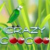 Crazy Coo Coo