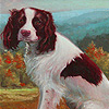 Cute farm dogs puzzle