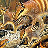 Cute forest animals slide puzzle