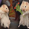 Cute mice slide puzzle