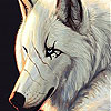 Cute snow wolf slide puzzle