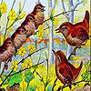 Dancing in the tree slide puzzle