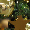 Decorated Christmas Tree