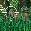 Deer Hunter