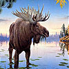 Deer in the lake slide puzzle