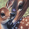 Deers and lovely day slide puzzle