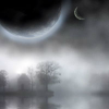 Dense fog find numbers