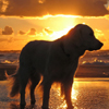 Dog in sunrise Puzzle