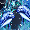 Dolphin brothers slide puzzle