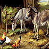 Donkeys and  cute friends puzzle