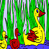 Duck family in the lake coloring