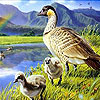 Ducks and rainbow slide puzzle