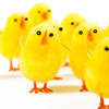 Easter Jigsaw Puzzle
