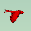 Eye of the Falcon Hunter