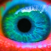 Eye puzzle