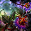 Fantastic flowers