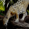 Fantastic tigers hidden numbers