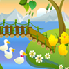 Find My Chicks