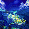 Fishes ın the pool puzzle