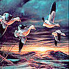 Flying birds at night slide puzzle