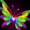 Flying bright  butterfly slide puzzle
