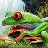Frog in the waterfall puzzle
