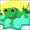 Frog time