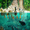 Funny ducks slide puzzle