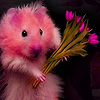 Funny rodents puzzle Small Thumbnail