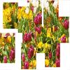 Garden Jigsaw Puzzle