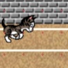 GATTOLIMPIADI