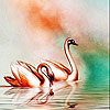 Golden swans slide puzzle