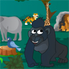 Gorillas In The Jungle