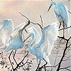 Gracious birds slide puzzle