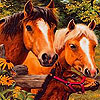 Grand farm horses slide puzzle